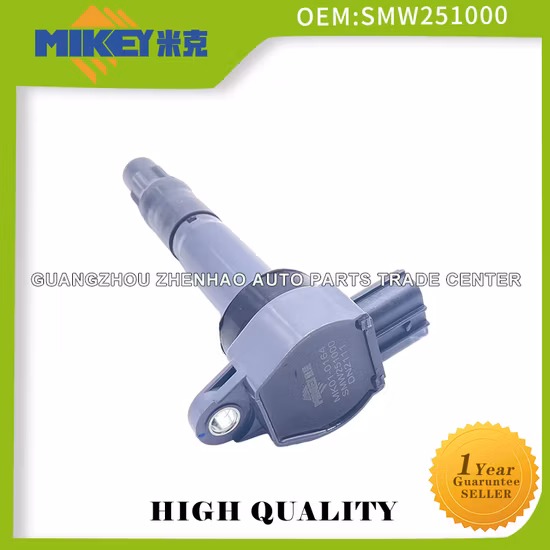 Venta caliente de piezas de repuesto para automóvil Bobina de encendido para la Gran Muralla Jiayu 4G63s Geely Emgrand 4G69 Geely Ec8 OEM: Smw251000